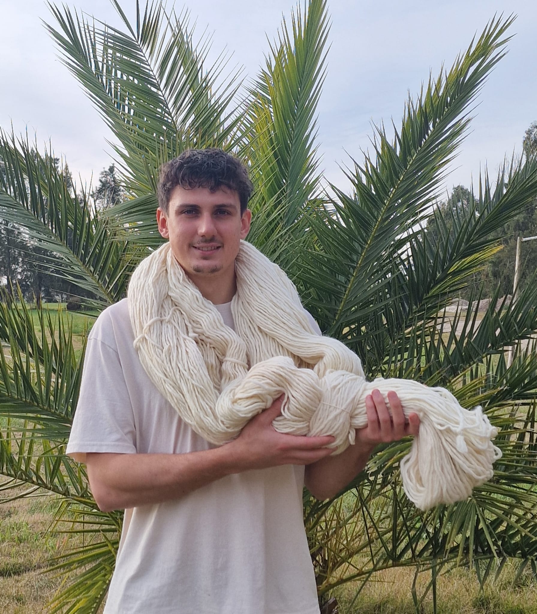 Foto: Stanley in Uruguay mit Wolle